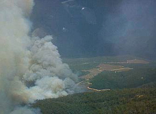 Photo: Stephen Wilkes, Air Observer. 148.86-35.30 looking ESE at about 3:00 AEDST on 18th January 2003.
