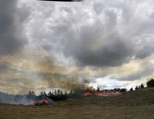 Photo: McRae. 149.06 -35.33 looking NW and up. 12:38 AEST, 10th October 2002.
