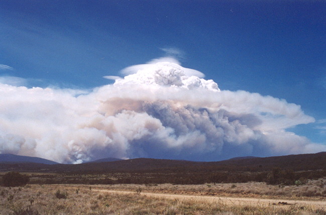 Photo: NSW NPWS from Long Plain, Kosciuszko National Park. 148.7 -35.7, looking E at about 14:00 AEDST 18th January 2003.