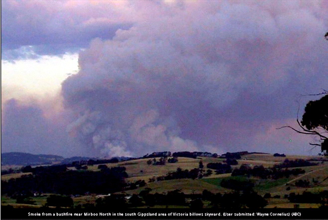 Photo from ABC News website, submitted by Wayne Cornelius. 146.2 -38.4 looking E. 7th February 2009.