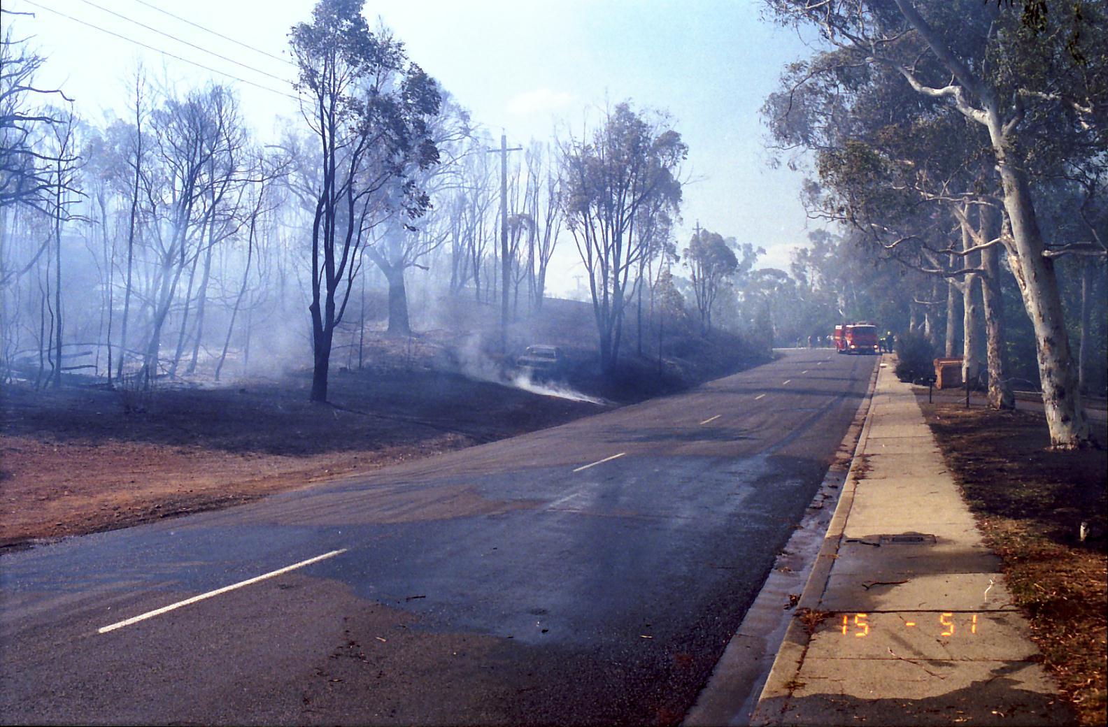 Year 1991 Site 24