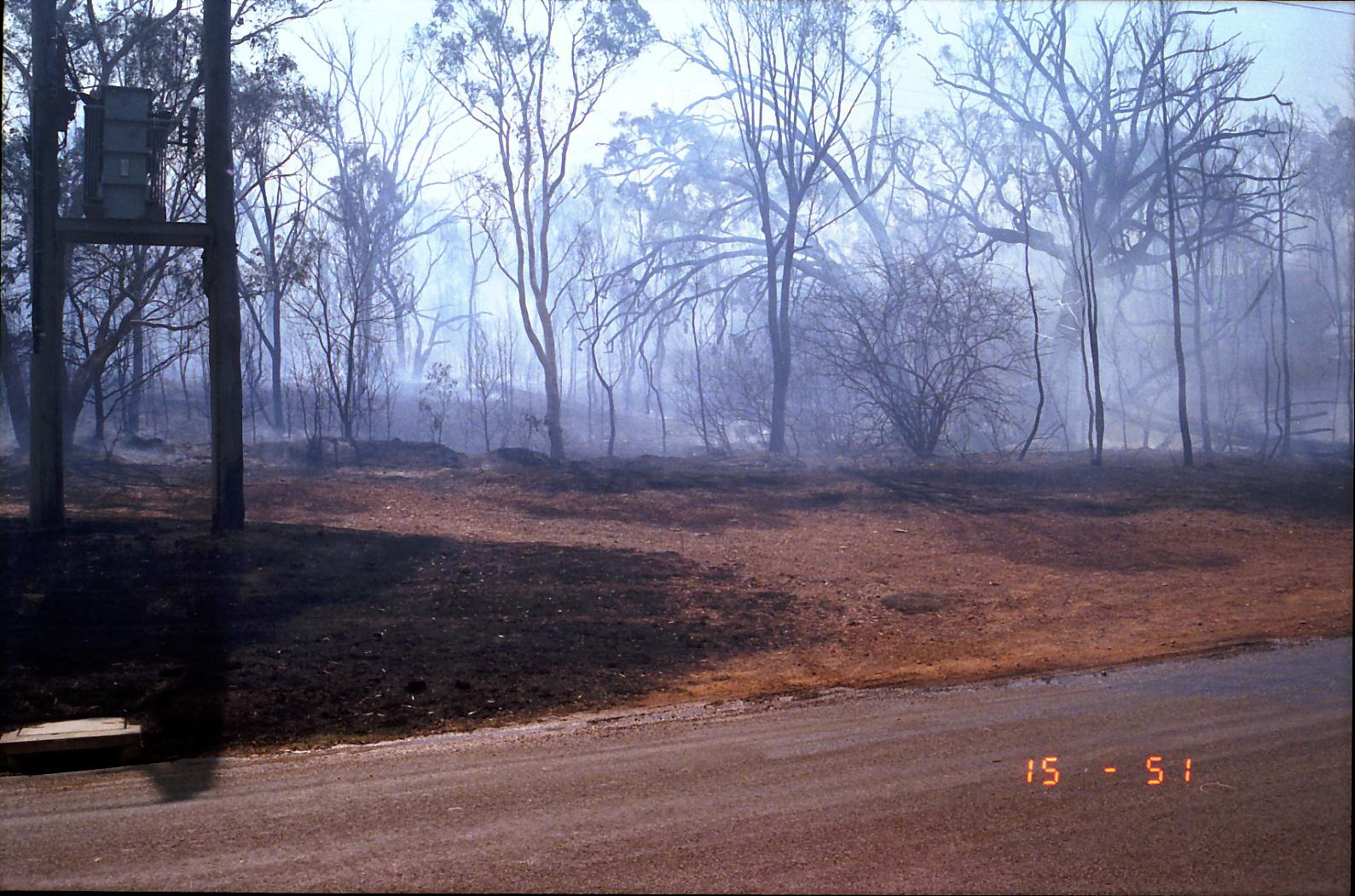 Year 1991 Site 26