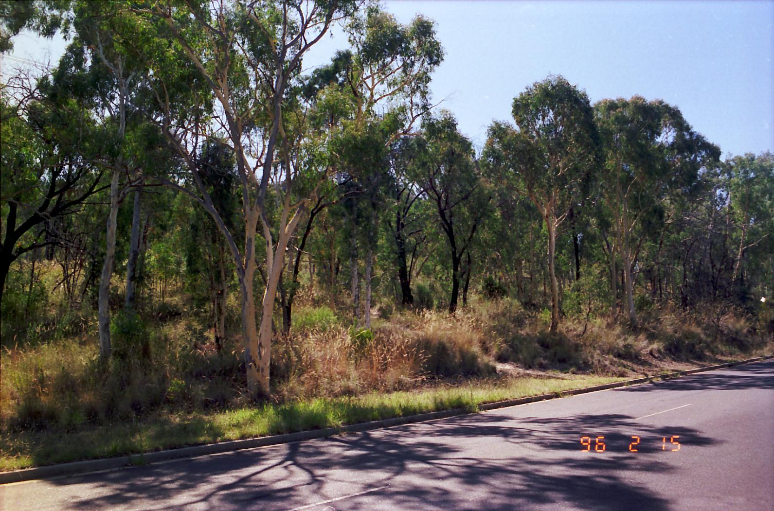 Year 1996 Site 16