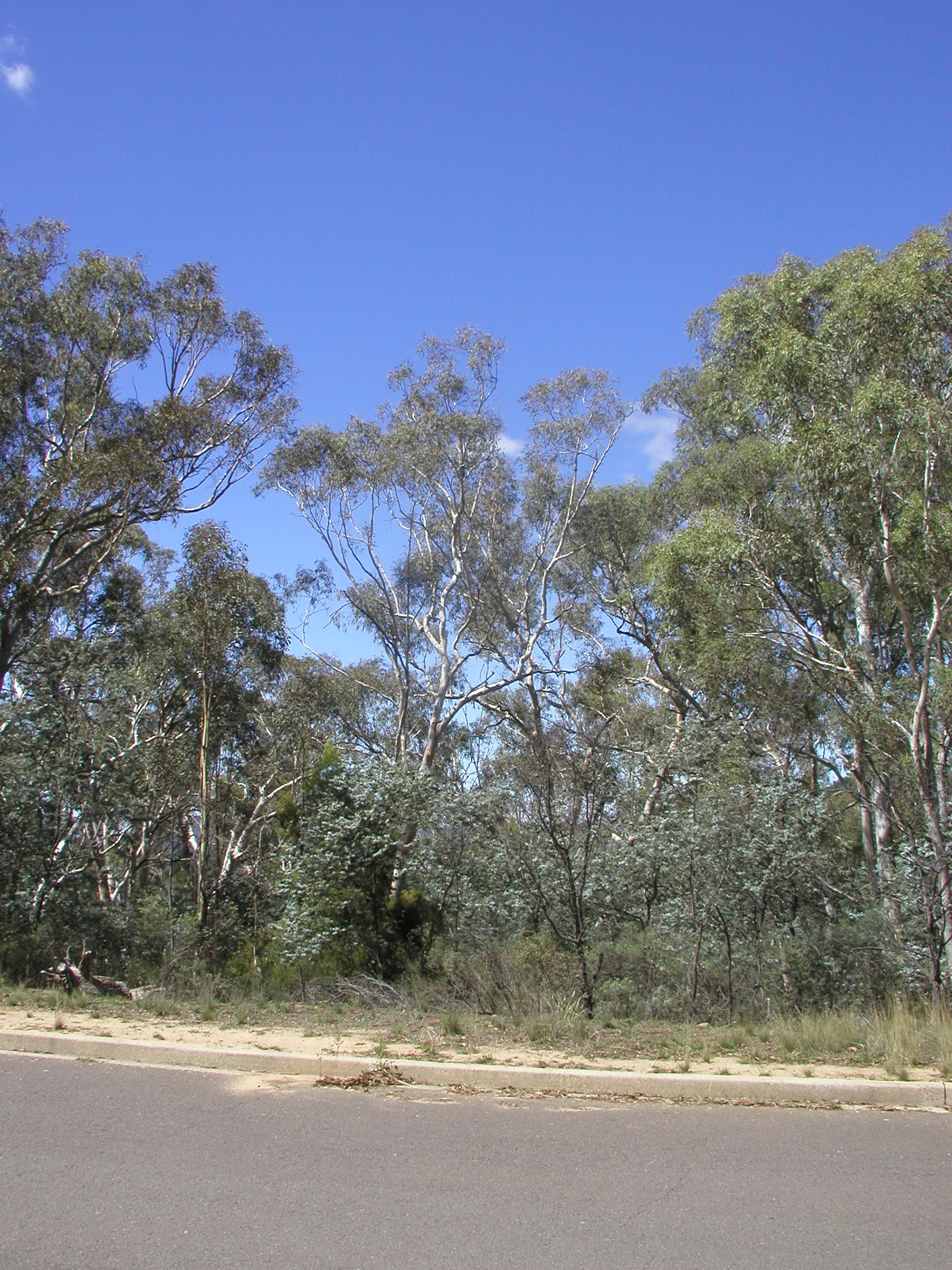 Year 2010 Site 21