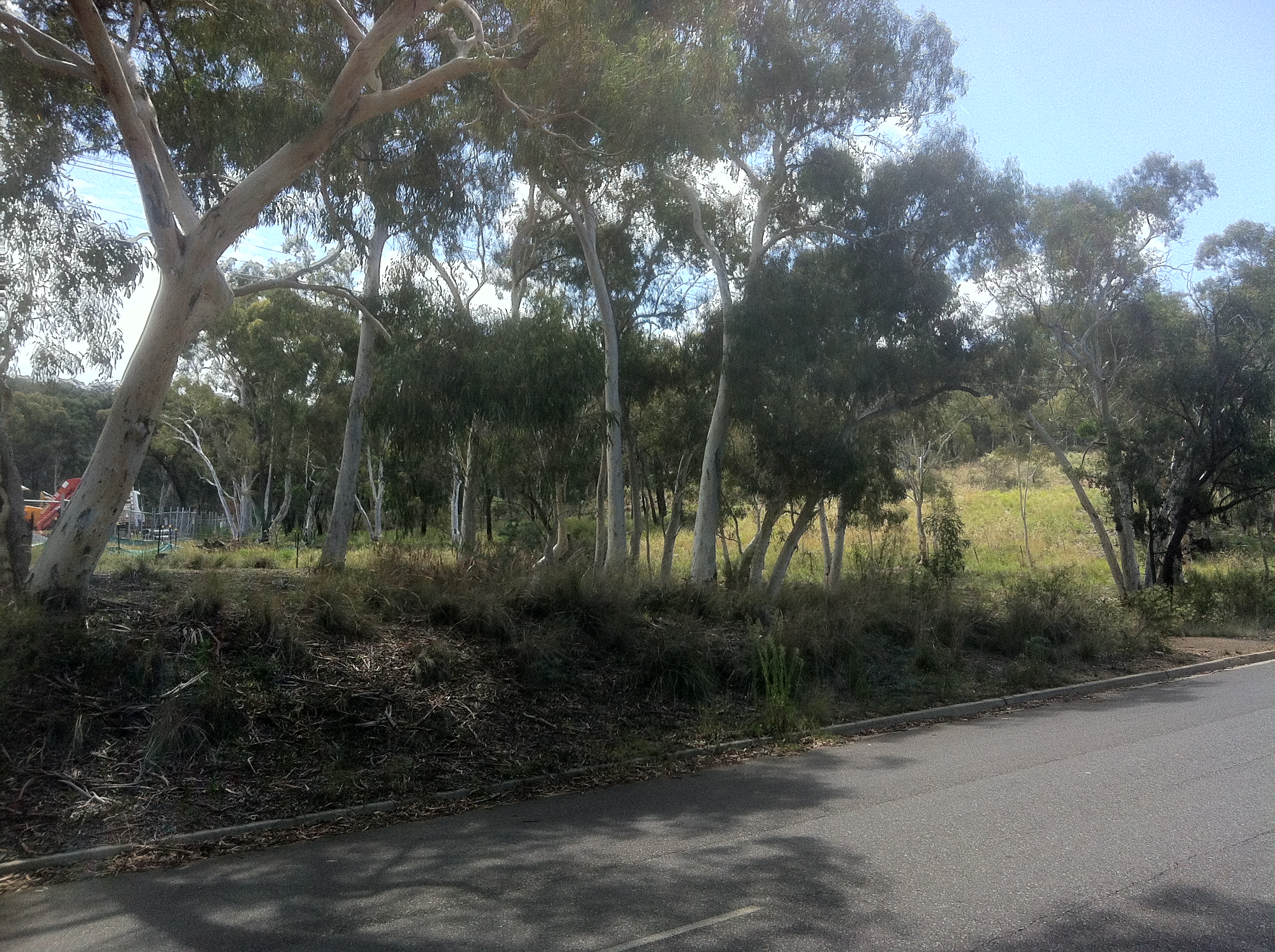 Year 2012 Site 09