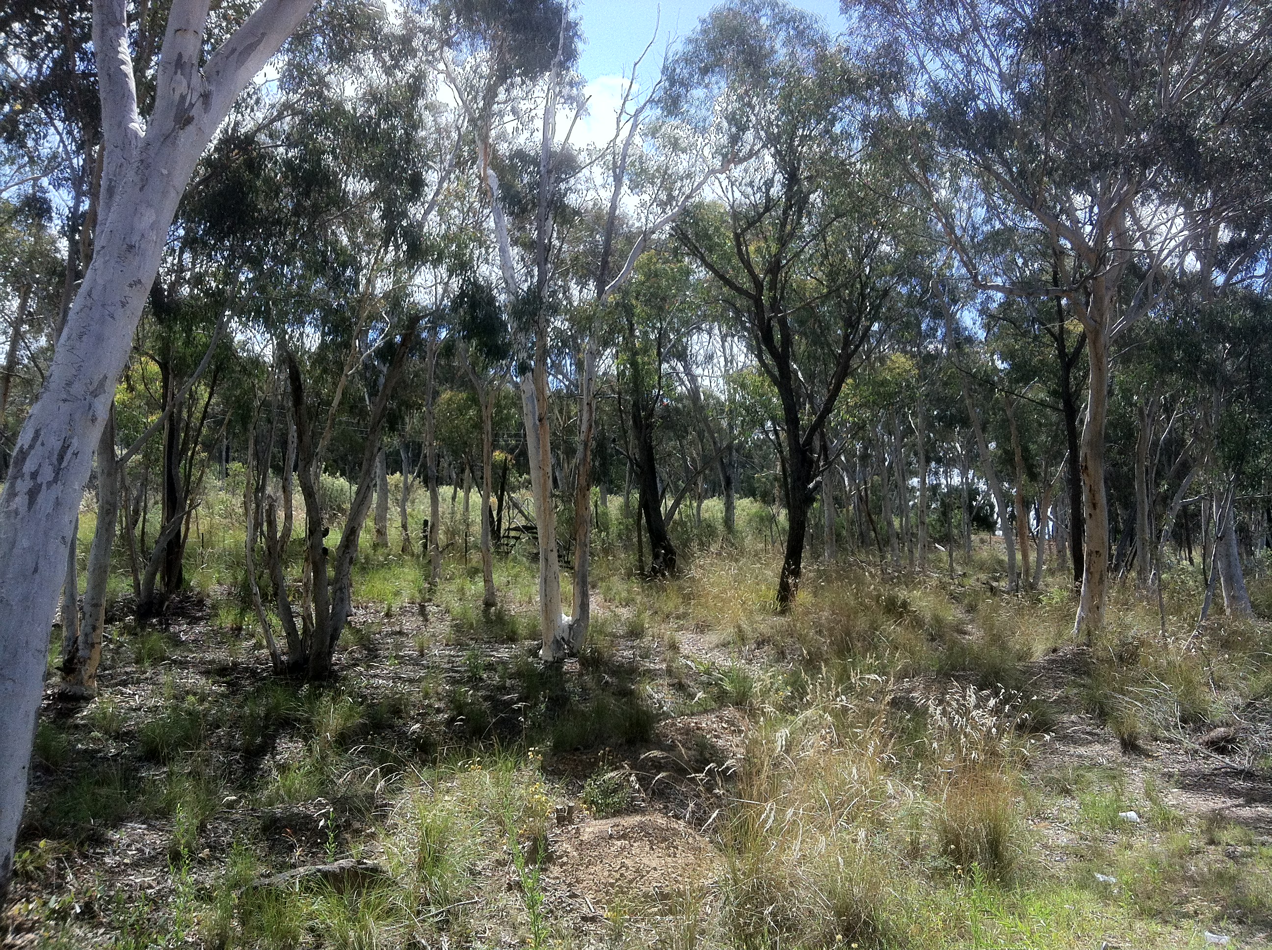 Year 2012 Site 17