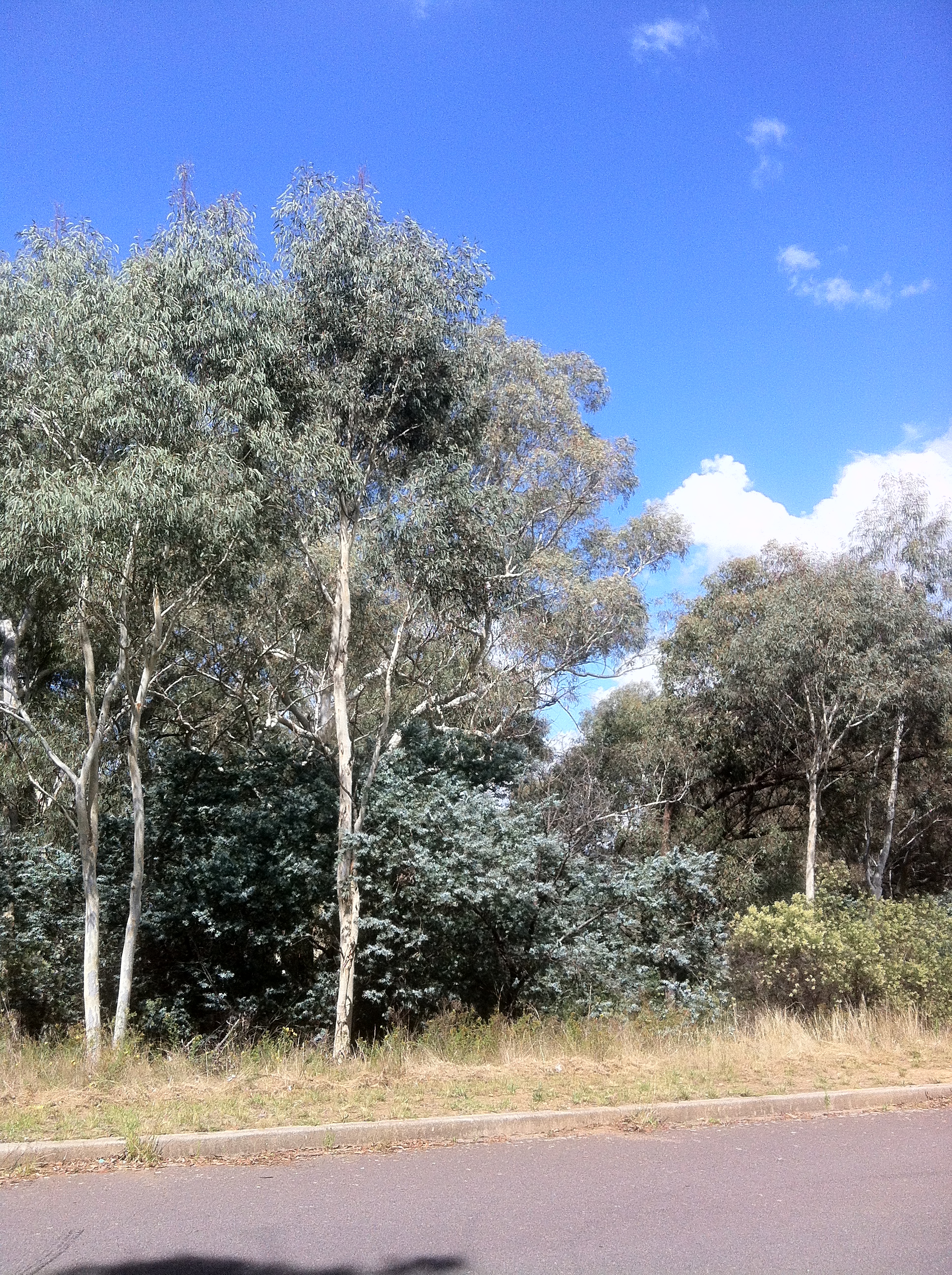 Year 2012 Site 20