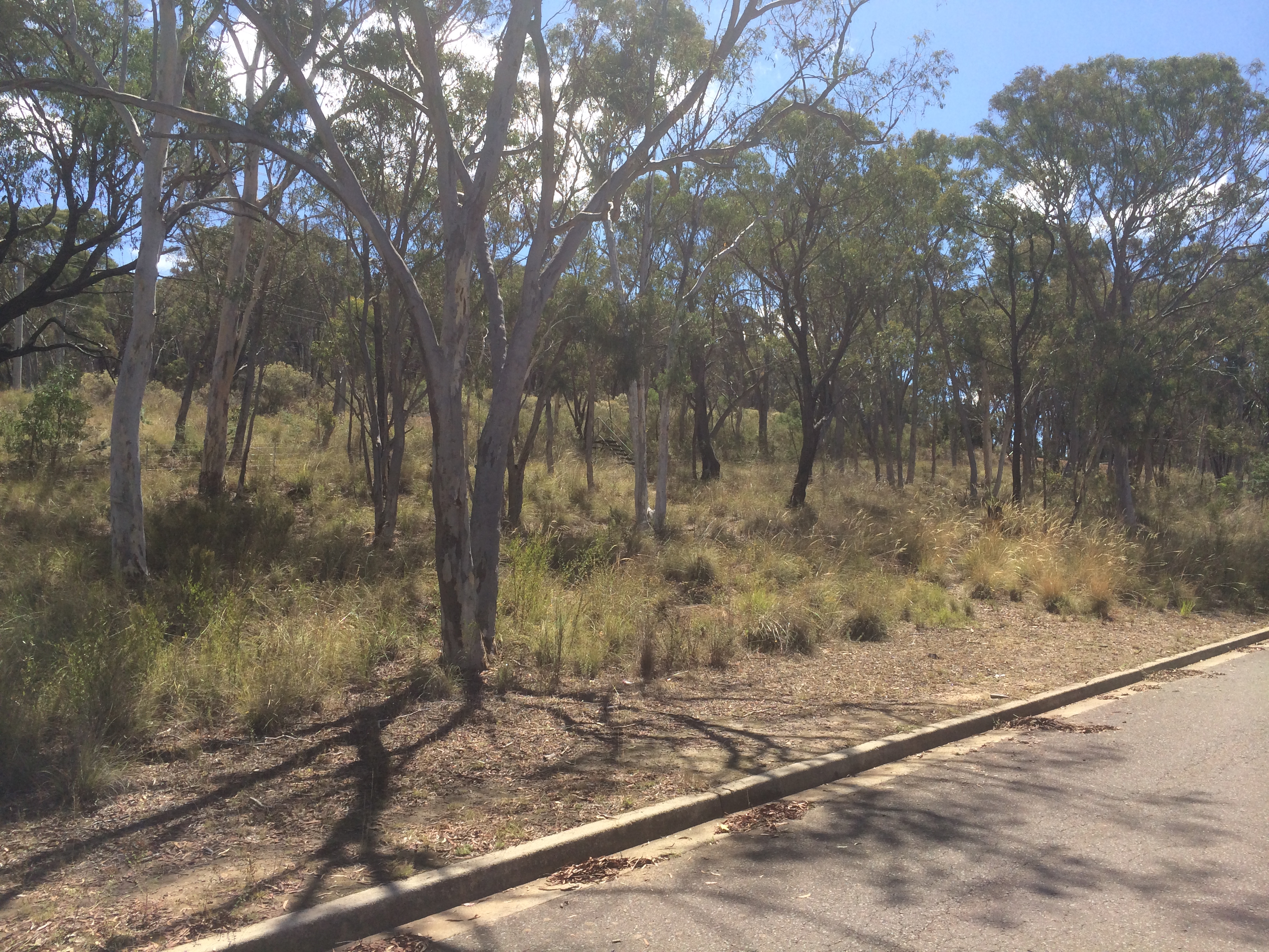 Year 2014 Site 16