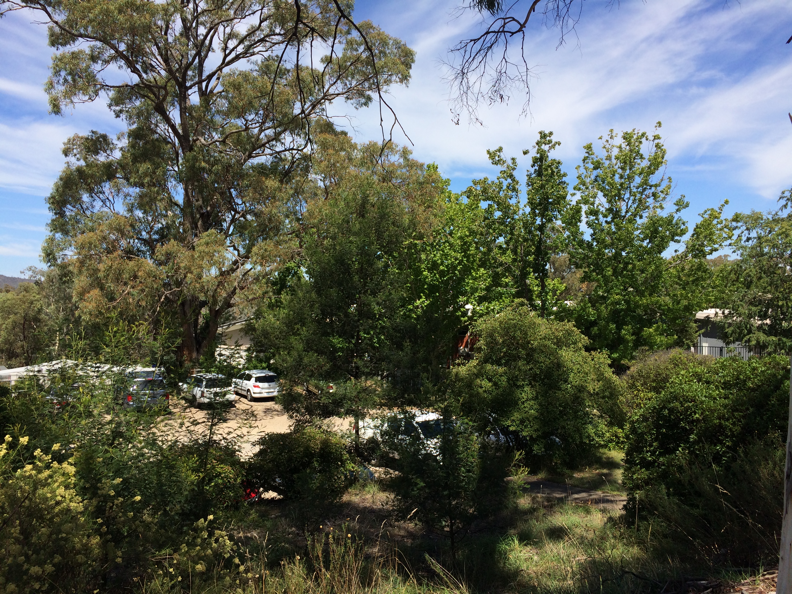 Year 2016 Site 06