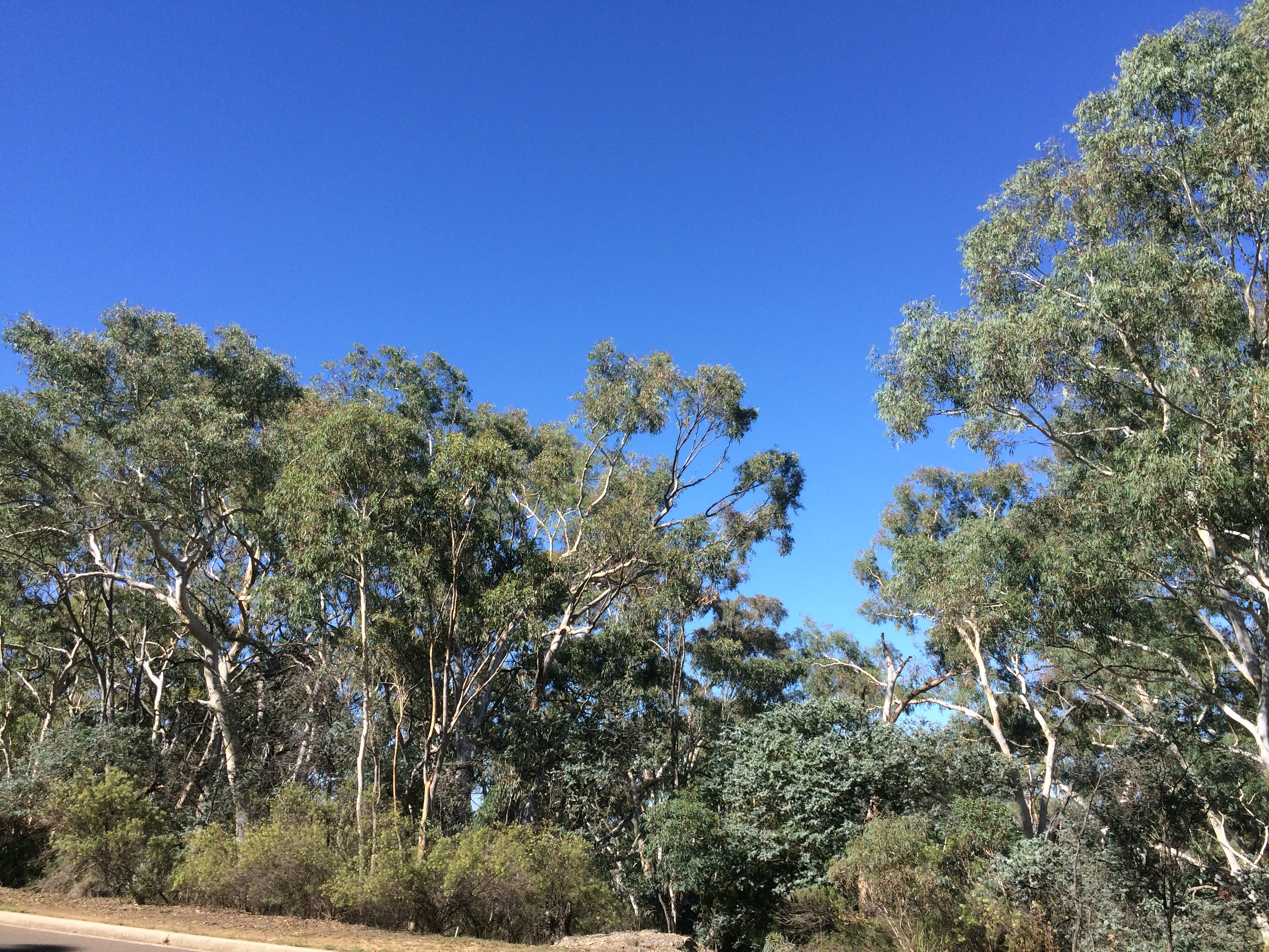 Year 2019 Site 18