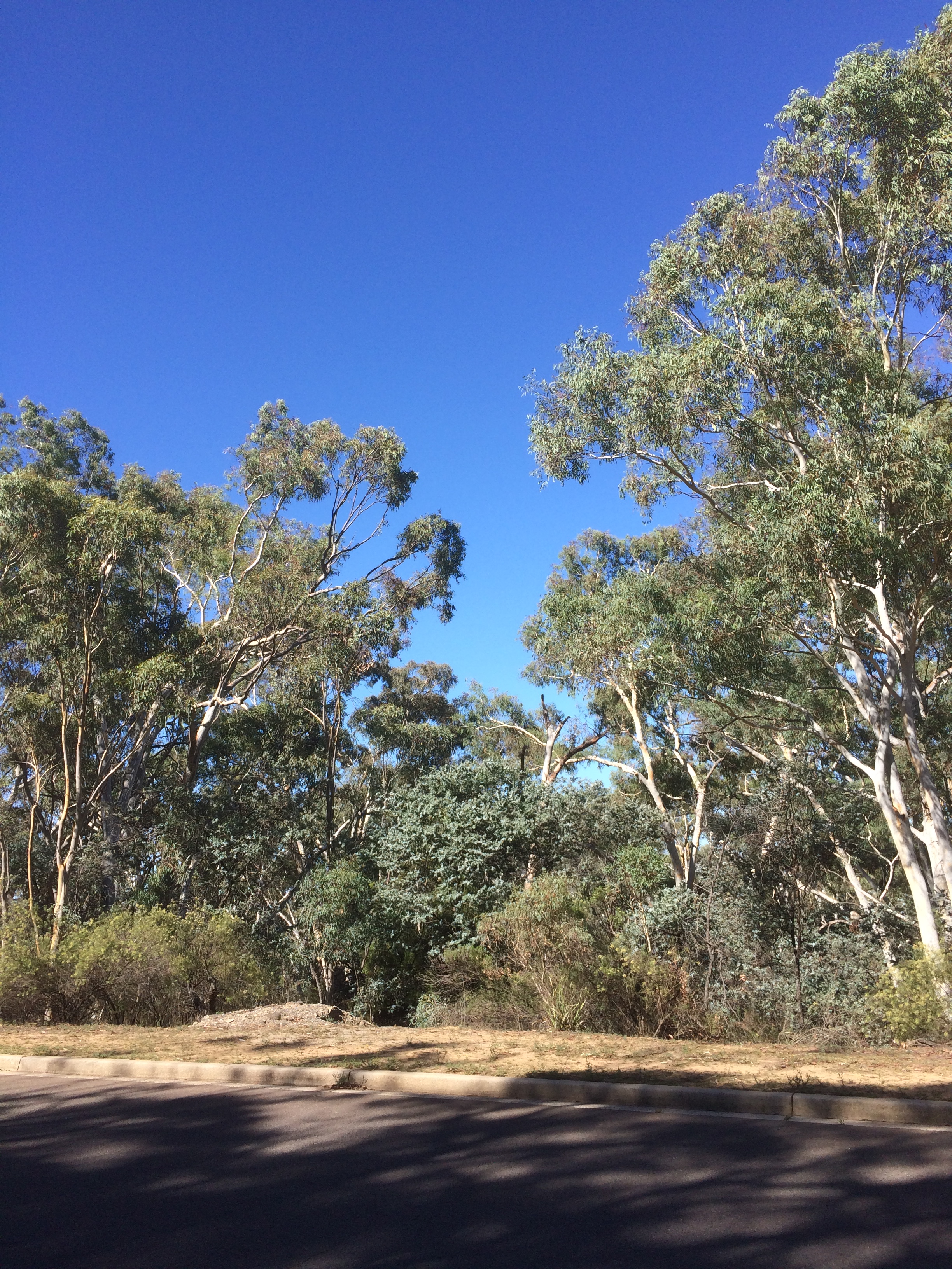 Year 2019 Site 21