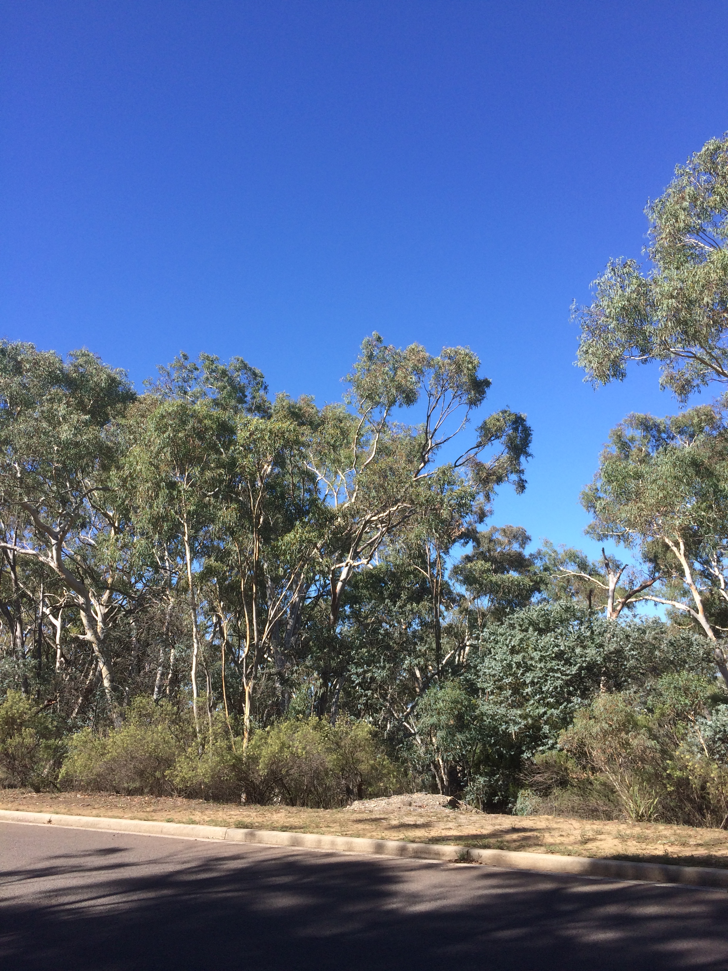 Year 2019 Site 22