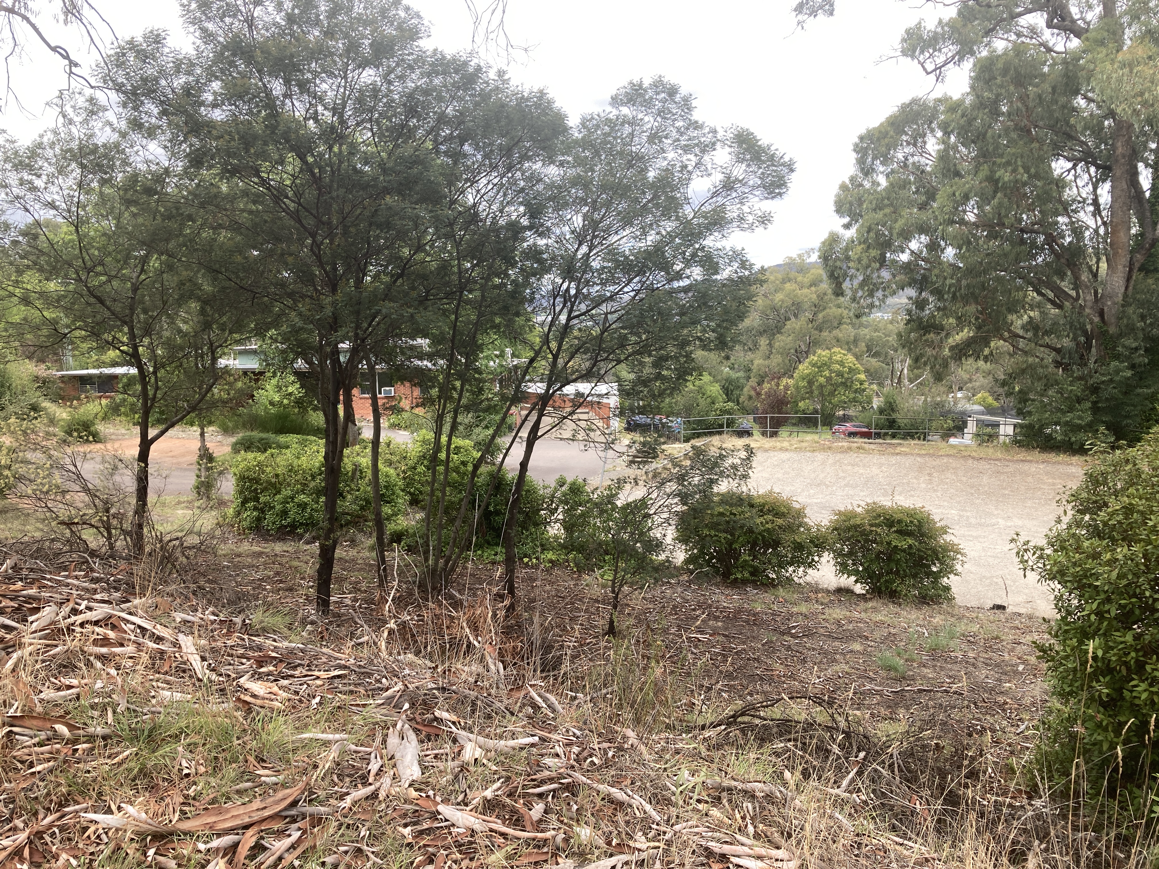 Year 2026 Site 03