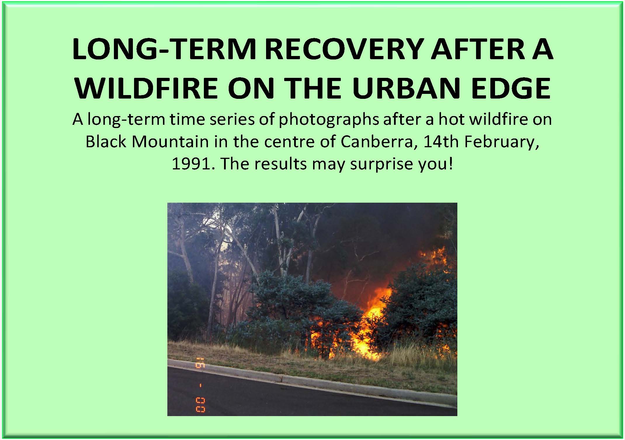LONG-TERM RECOVERY AFTER A WILDFIRE ON THE URBAN EDGE: A long-term time series of photographs after a hot wildfire on Black Mountain in the centre of Canberra, 14th February, 1991. The results may surprise you!